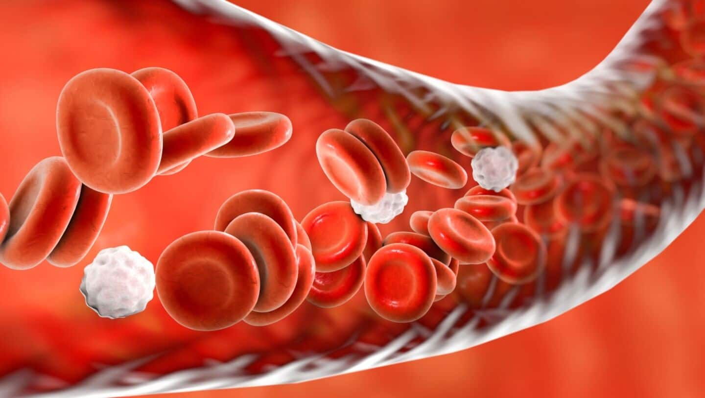 Brazil and New Zealand researchers find pFL raises blood pressure