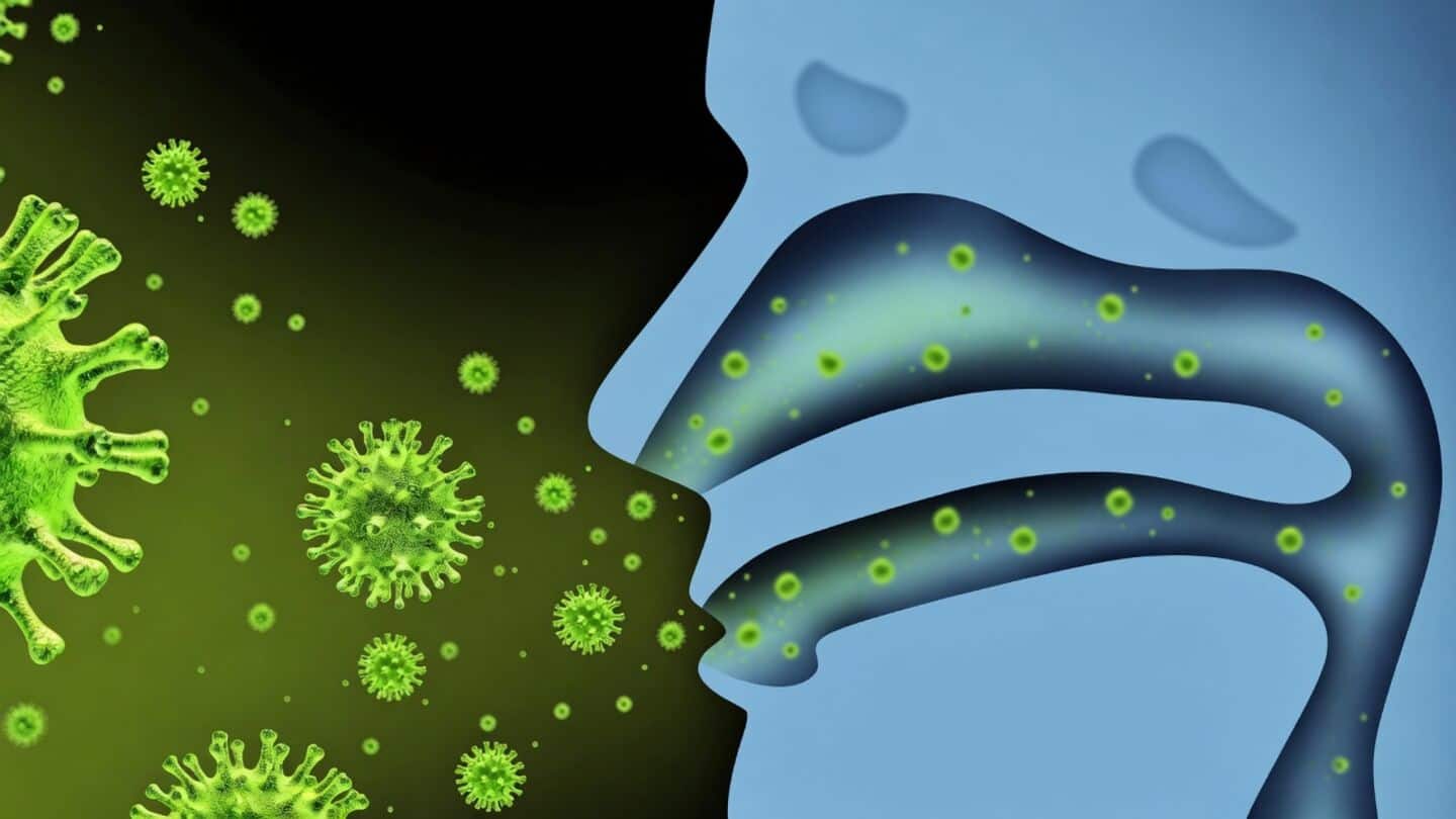 Tamil Nadu health department: H1N1 and seasonal flu controlled