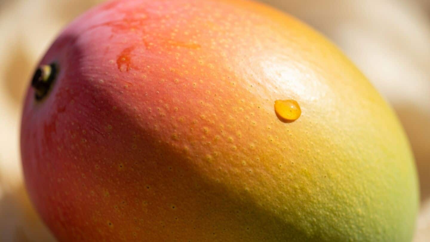 India cuts mango sea export costs to ₹13-₹20 per kg