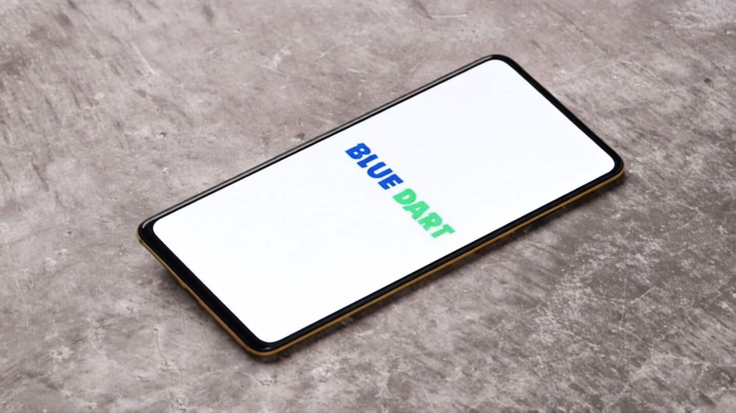 Blue Dart Q3 profit falls as revenue grows, margins improve