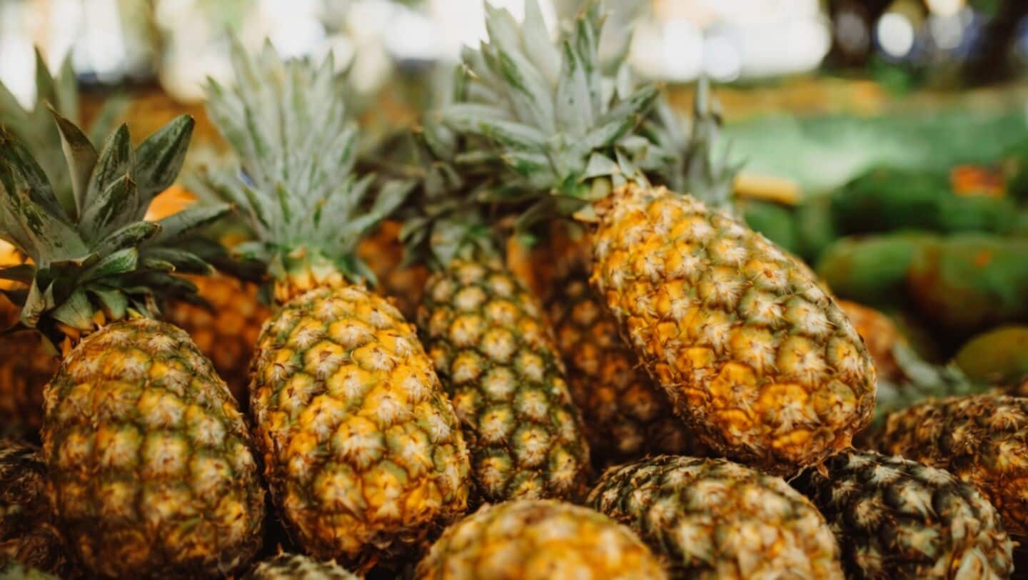 Prime Minister Modi gifts Meghalaya GI-tagged pineapples to UAE President