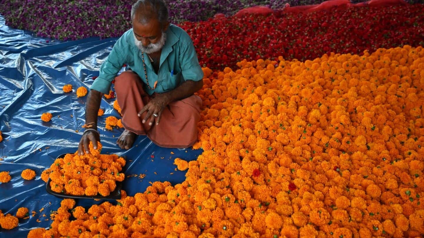 Onam flower prices spike across Kerala, Kochi vendors fear losses