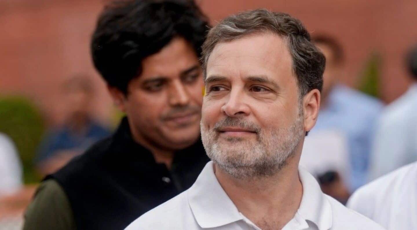 Allahabad HC rebukes BJP worker over Rahul Gandhi citizenship claims