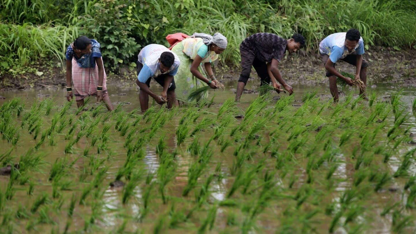 Maharashtra farmers urged to delay sowing until June 15 rains