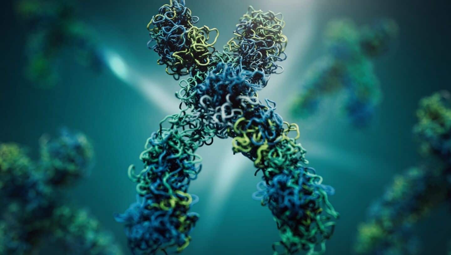 Israeli scientists boost SIRT6, restore DNA organization in older mice