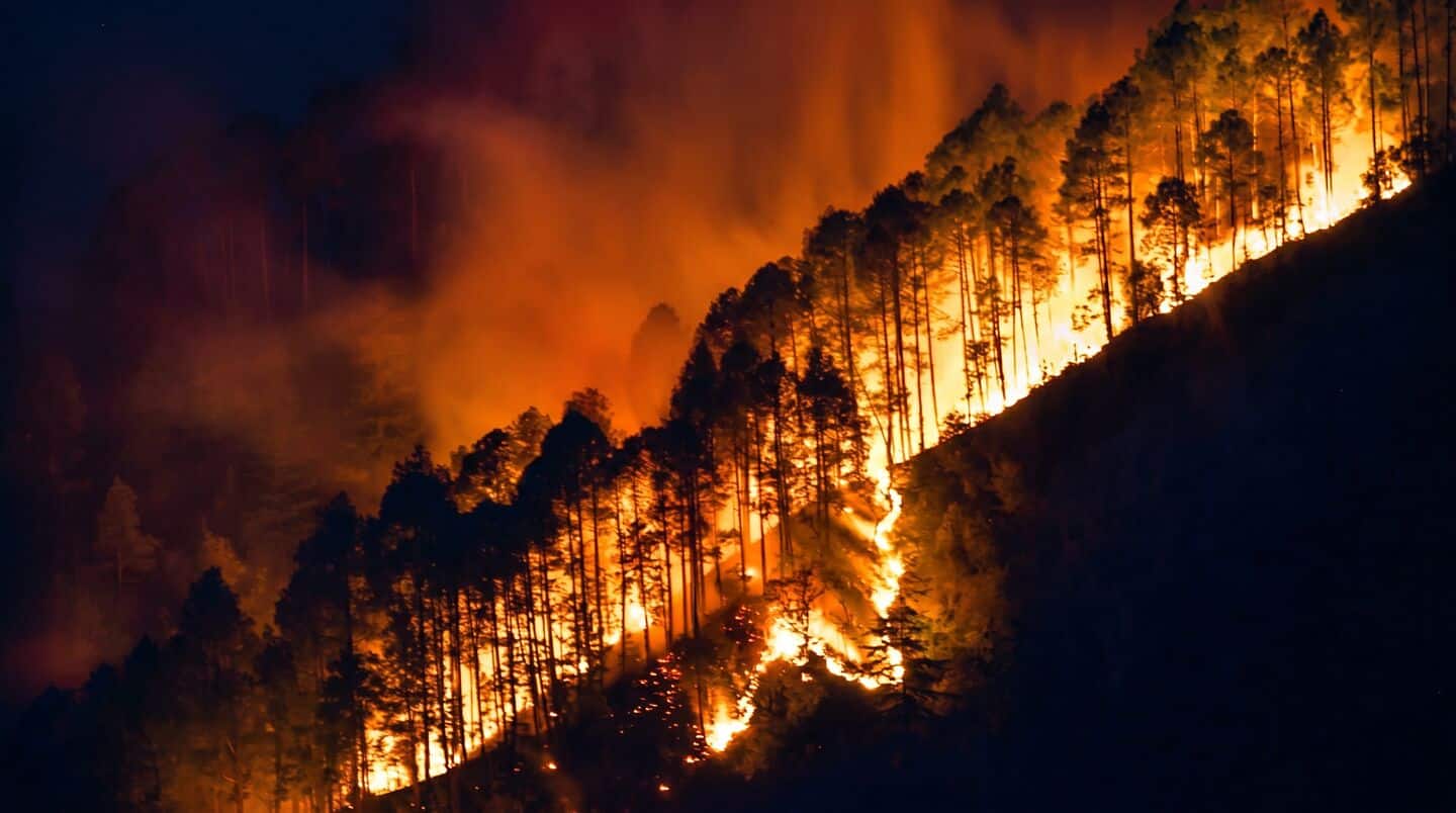 Forest fires hit Uttarakhand Tamil Nadu Odisha and Andhra Pradesh
