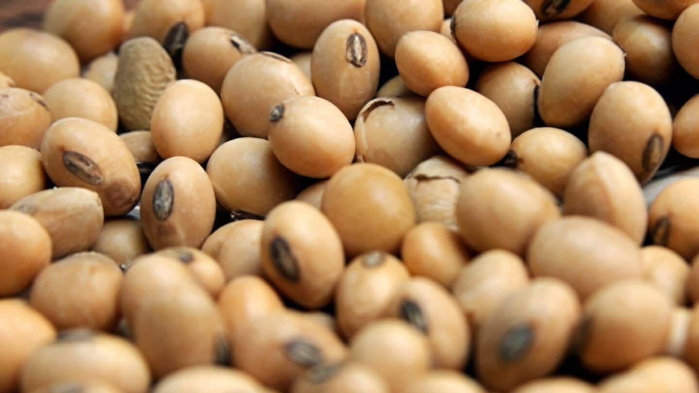 India to import record 900,000 tons soybeans in 2025-26