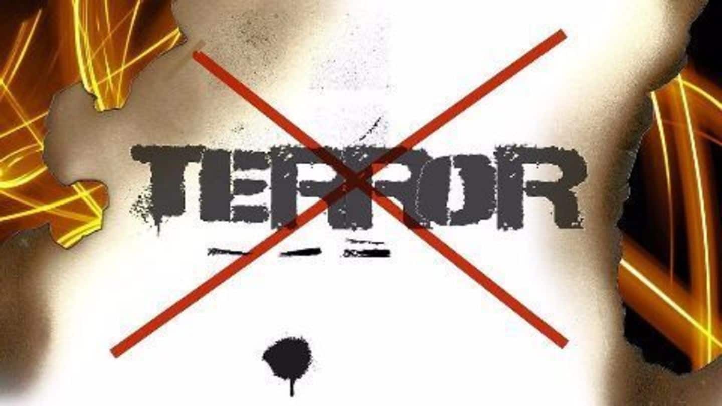 Egypt: No terrorism evidence in Sinai plane crash Egypt: No terrorism evidence in Sinai plane crash