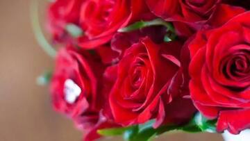 India: The new 'flowering' destination