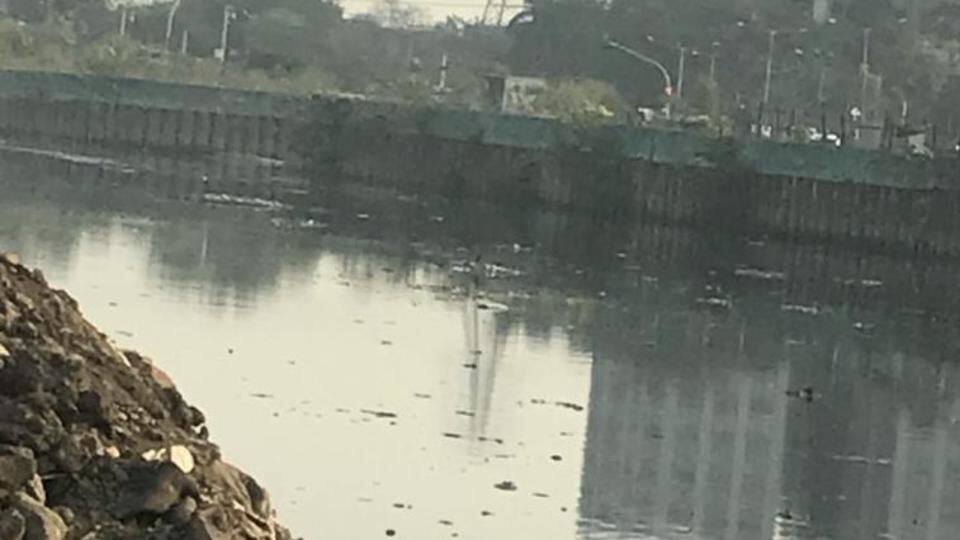 'Clean Mithi river, get a foul smell even in Worli' 'Clean Mithi river, get a foul smell even in Worli'