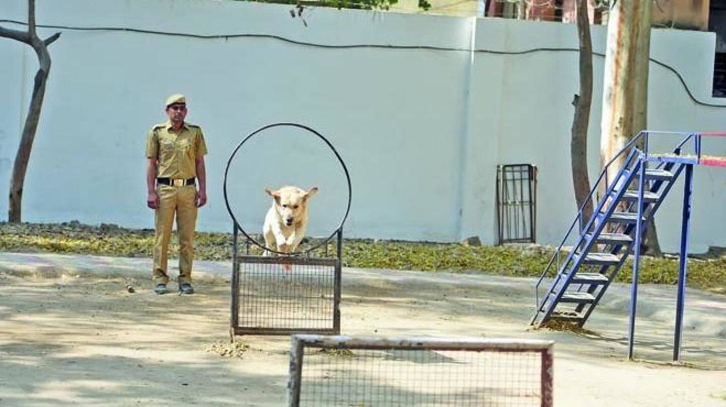 35 teams in participation, but Babu didn't care 35 teams in participation, but Babu didn't care