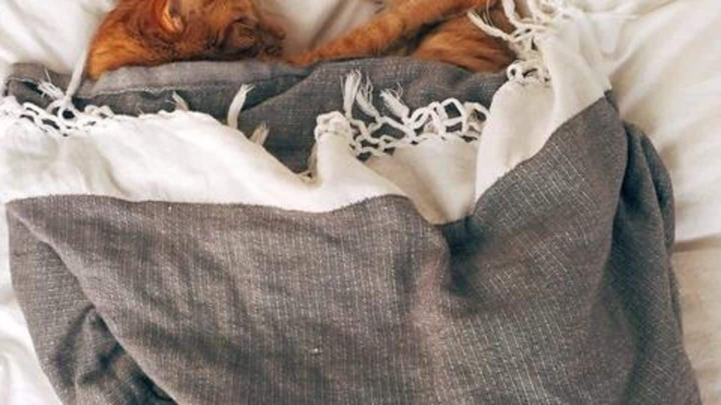 Solid sleep keeps her fresh for entire day, Tabu reveals Solid sleep keeps her fresh for entire day, Tabu reveals