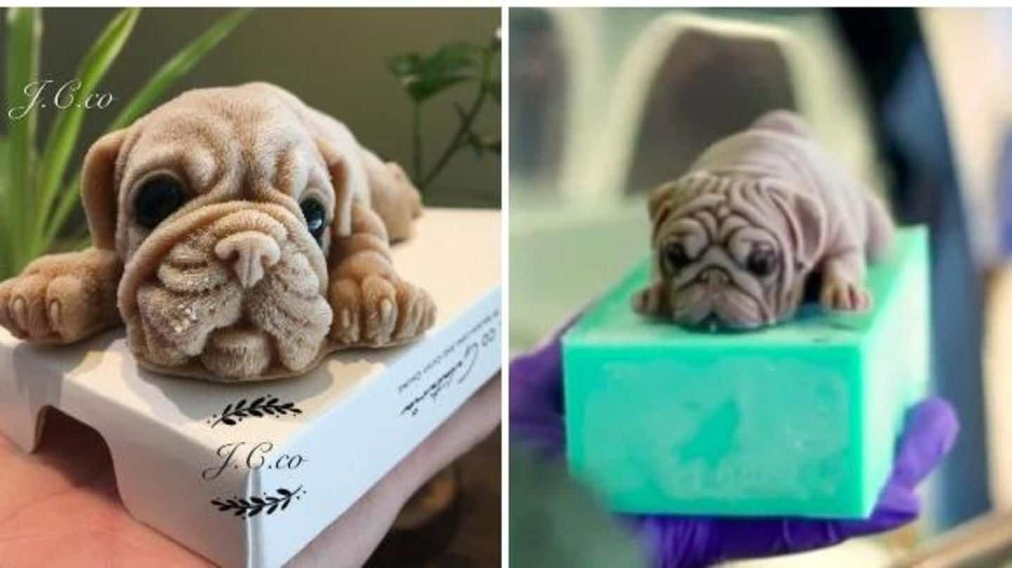 Creepy or Cute? Internet can't stop talking about puppy-shaped desserts