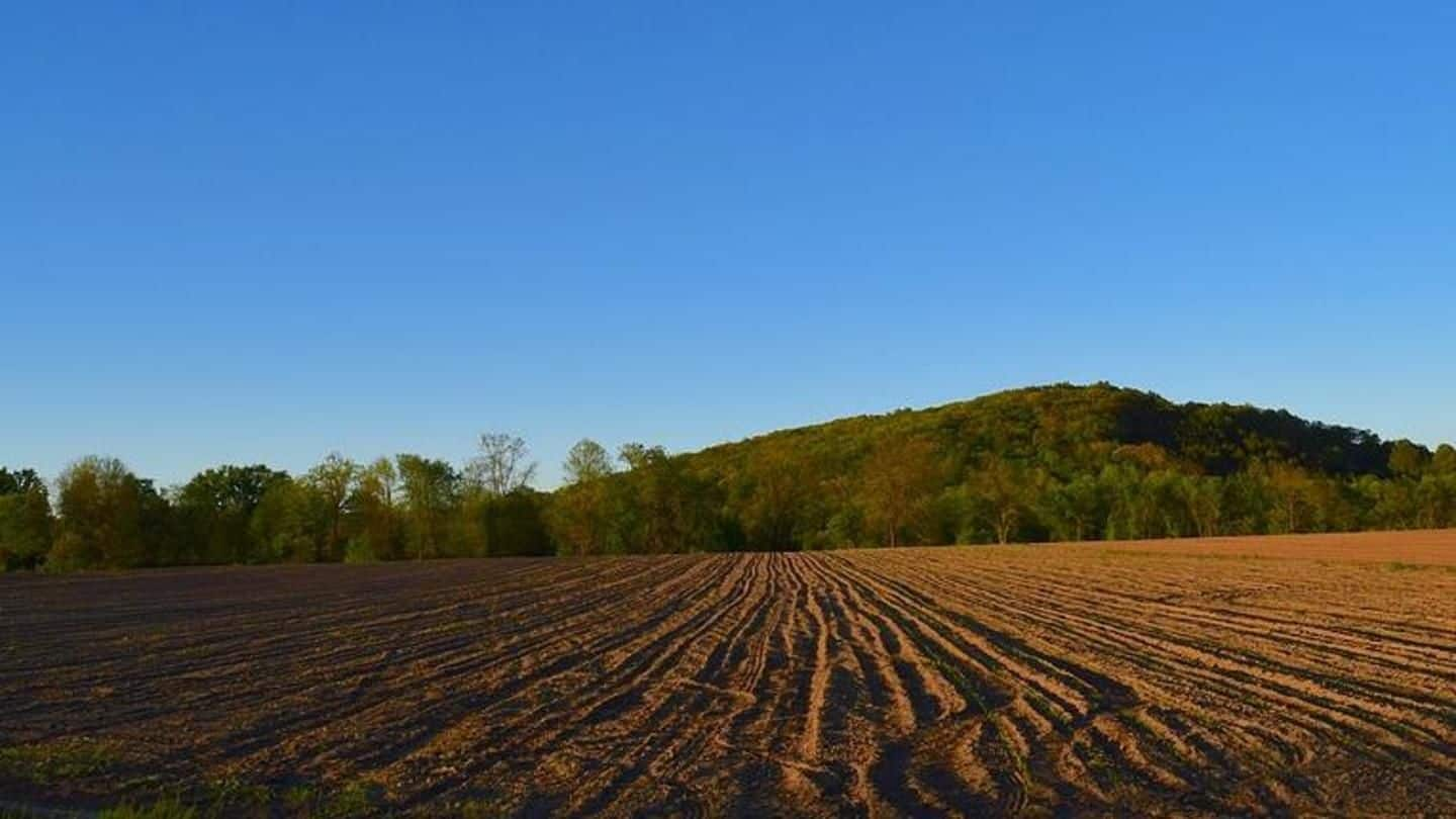 In a first, crucial land document issued online in Maharashtra