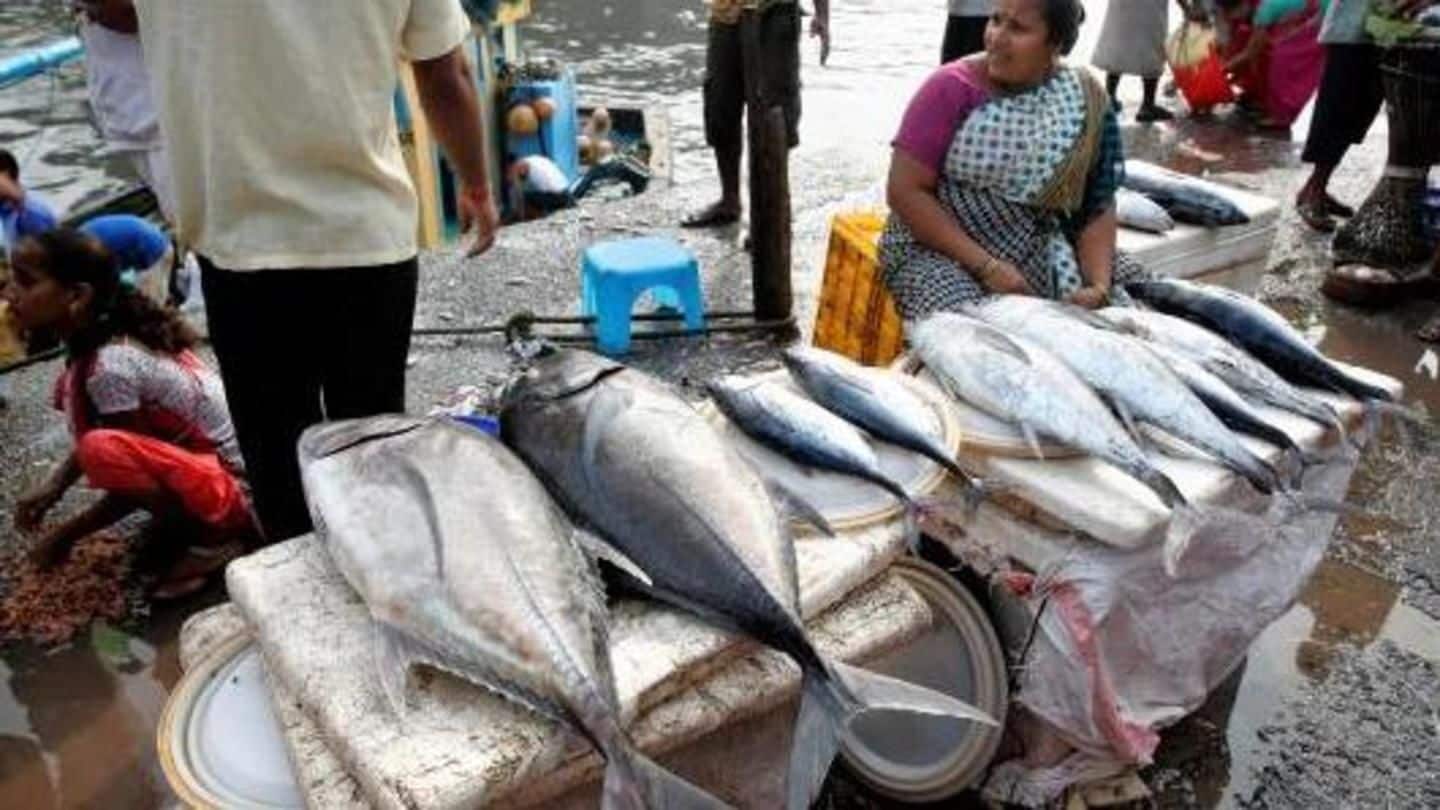 Antibiotic-resistant fish of Mumbai markets can impact health severely: Study