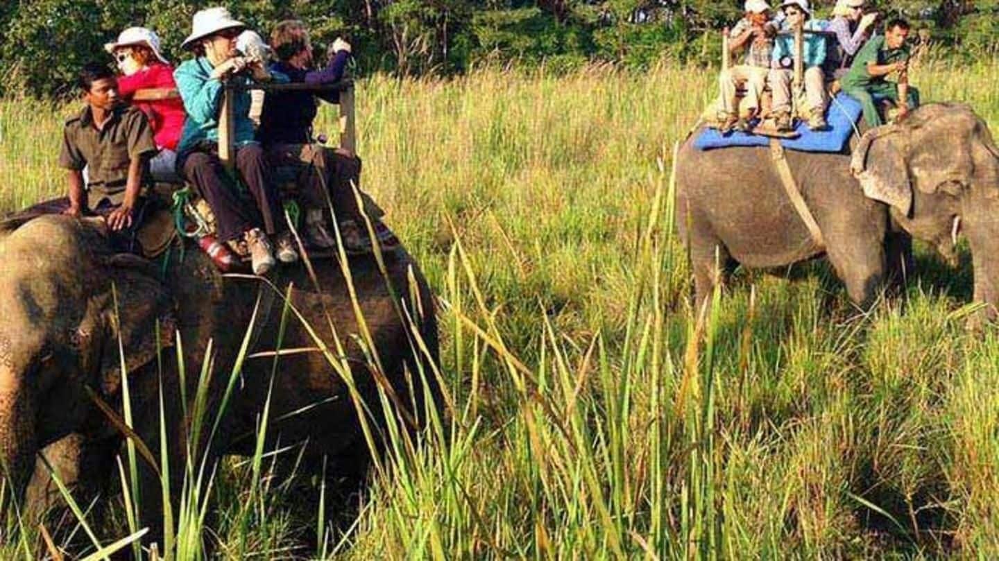 No more elephant rides in Jim Corbett, Rajaji Reserve