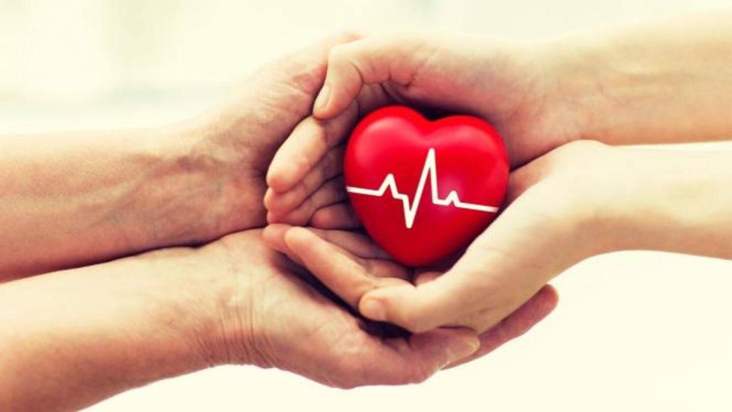Currently, LifeBox can preserve only heart, but work is on Currently, LifeBox can preserve only heart, but work is on