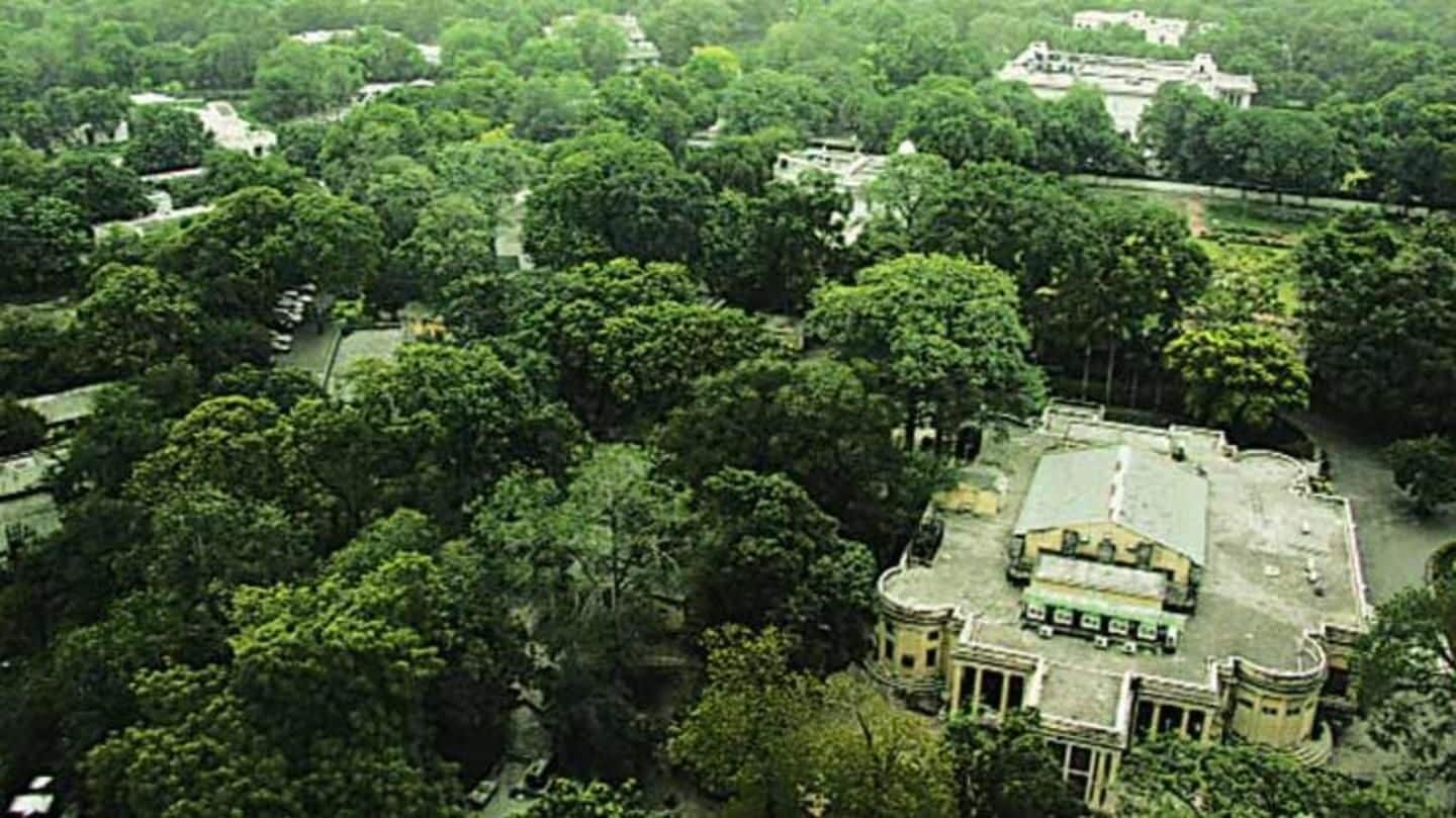 Delhi has less than one tree per person