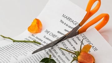 Mumbaikar granted divorce after wife assaults his mother, lodges false-cases
