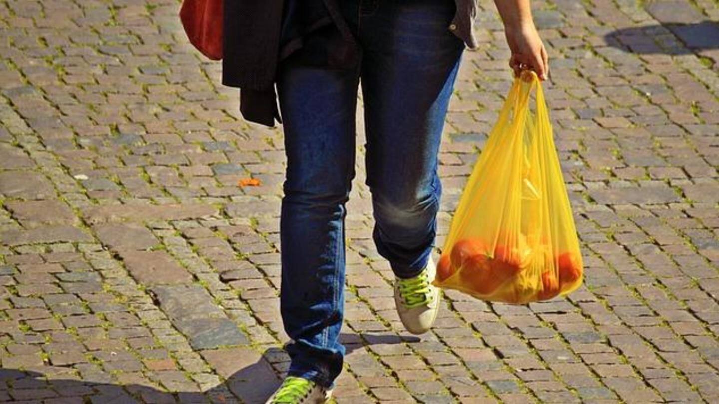 Plastic ban: Allow bags weighing 20g, demand manufacturers