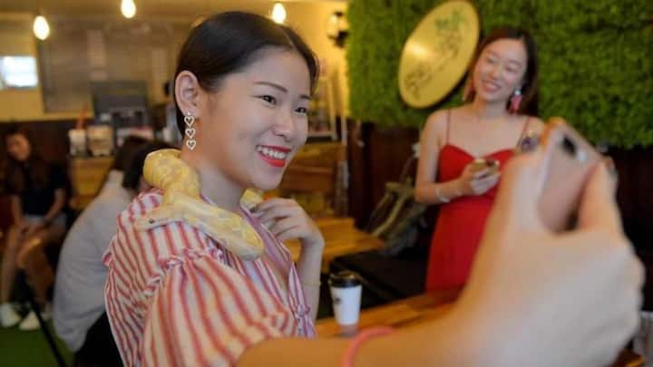 Want to drink coffee alongside snakes? Head to this Cambodia-cafe!