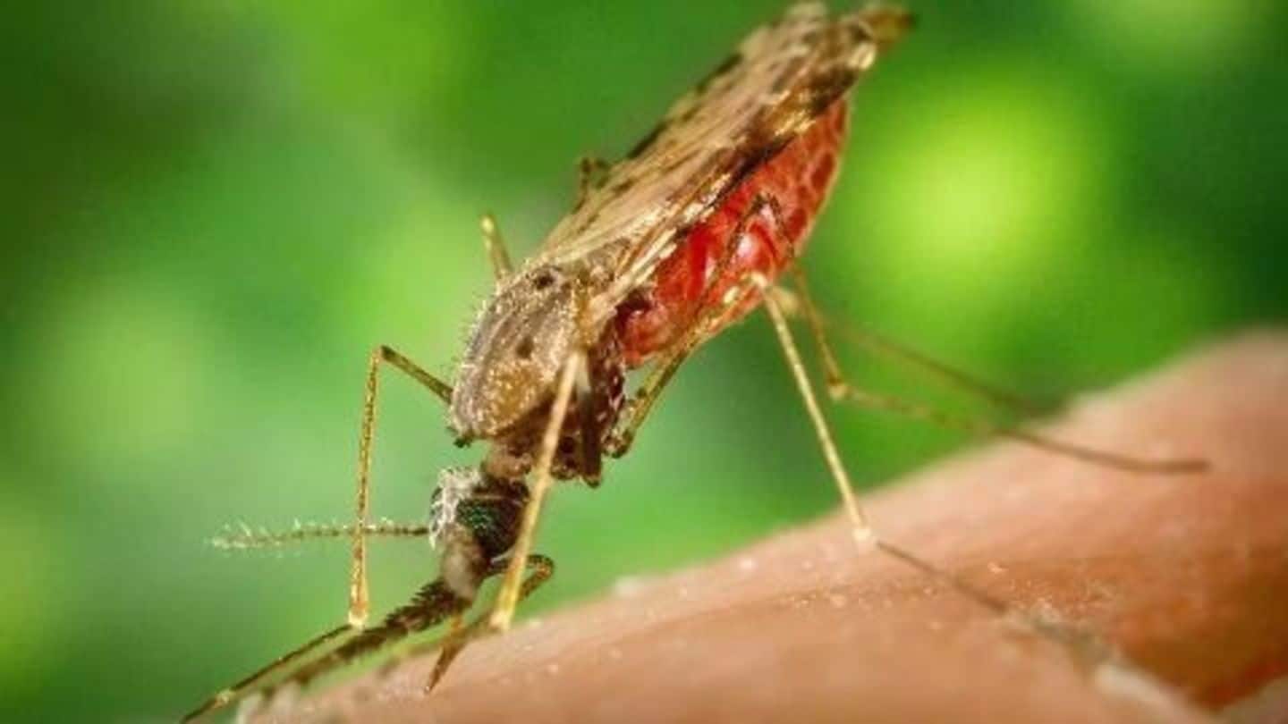21 countries may eliminate malaria by 2020