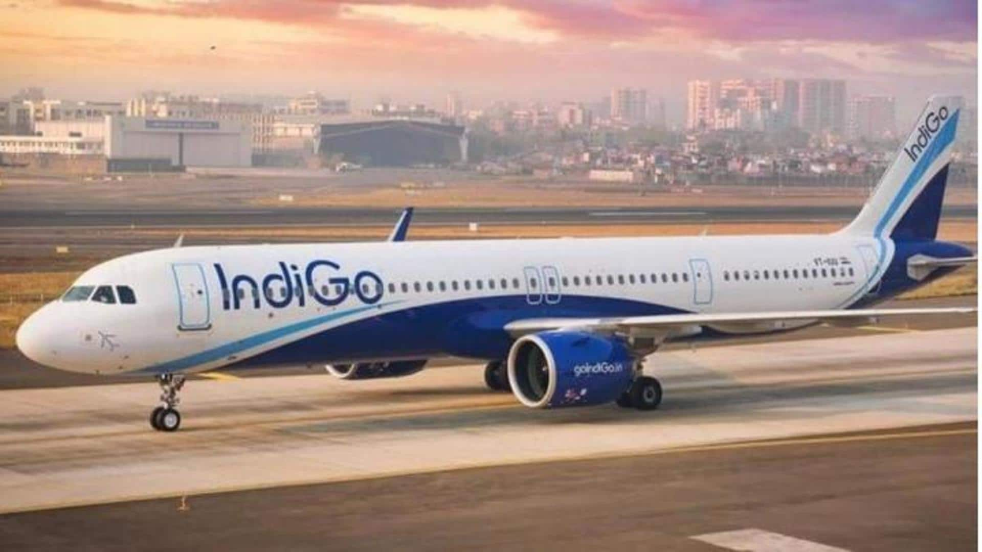 IndiGo To Buy 500 Airbus Planes In Mega Aviation Deal