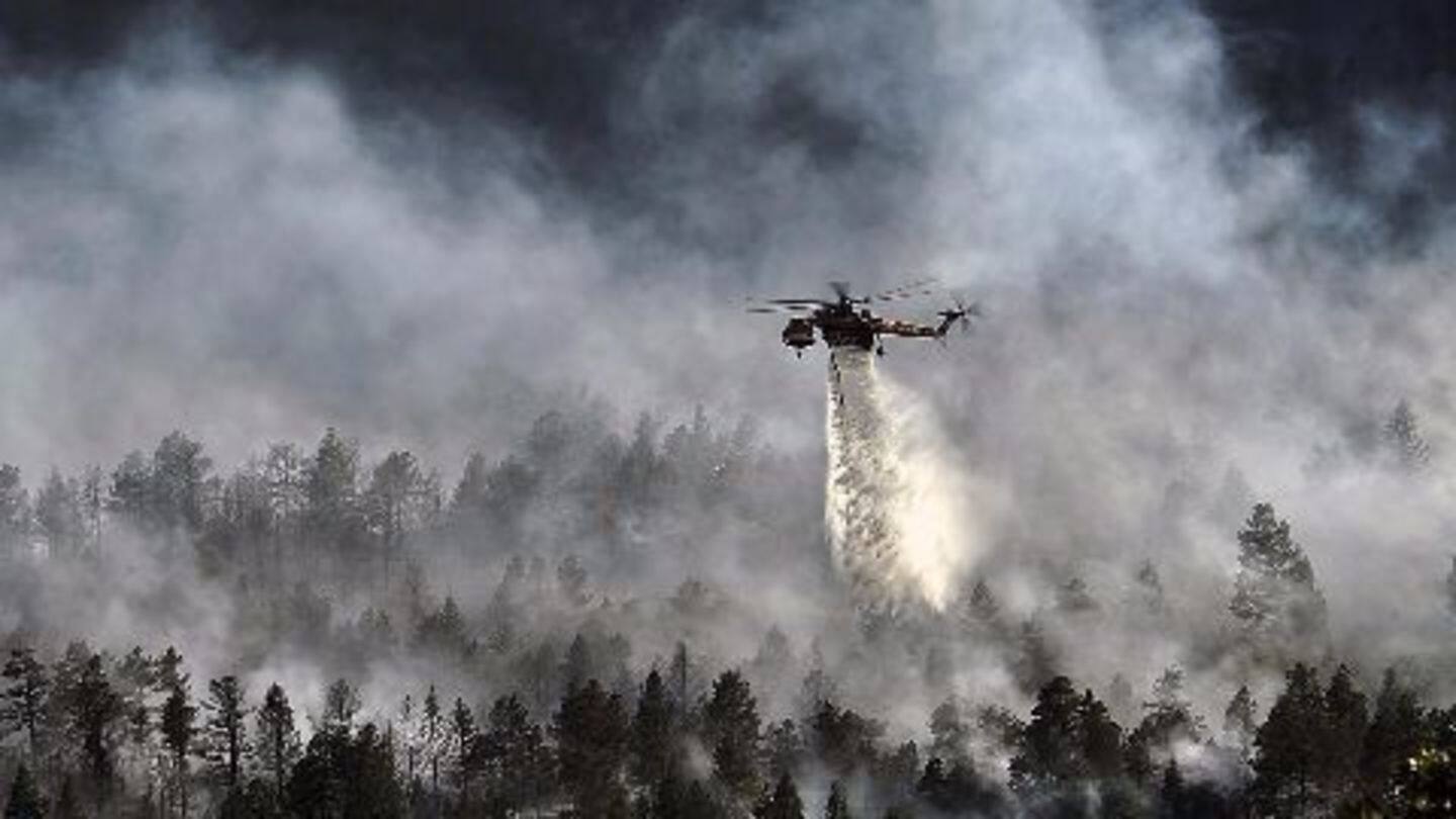 Uttarakhand forest fires doused: Officials Uttarakhand forest fires doused: Officials