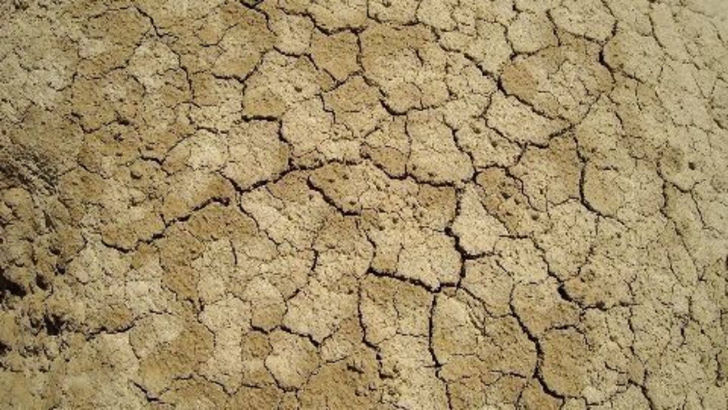 Only 1% water left in Marathwada reservoirs Only 1% water left in Marathwada reservoirs