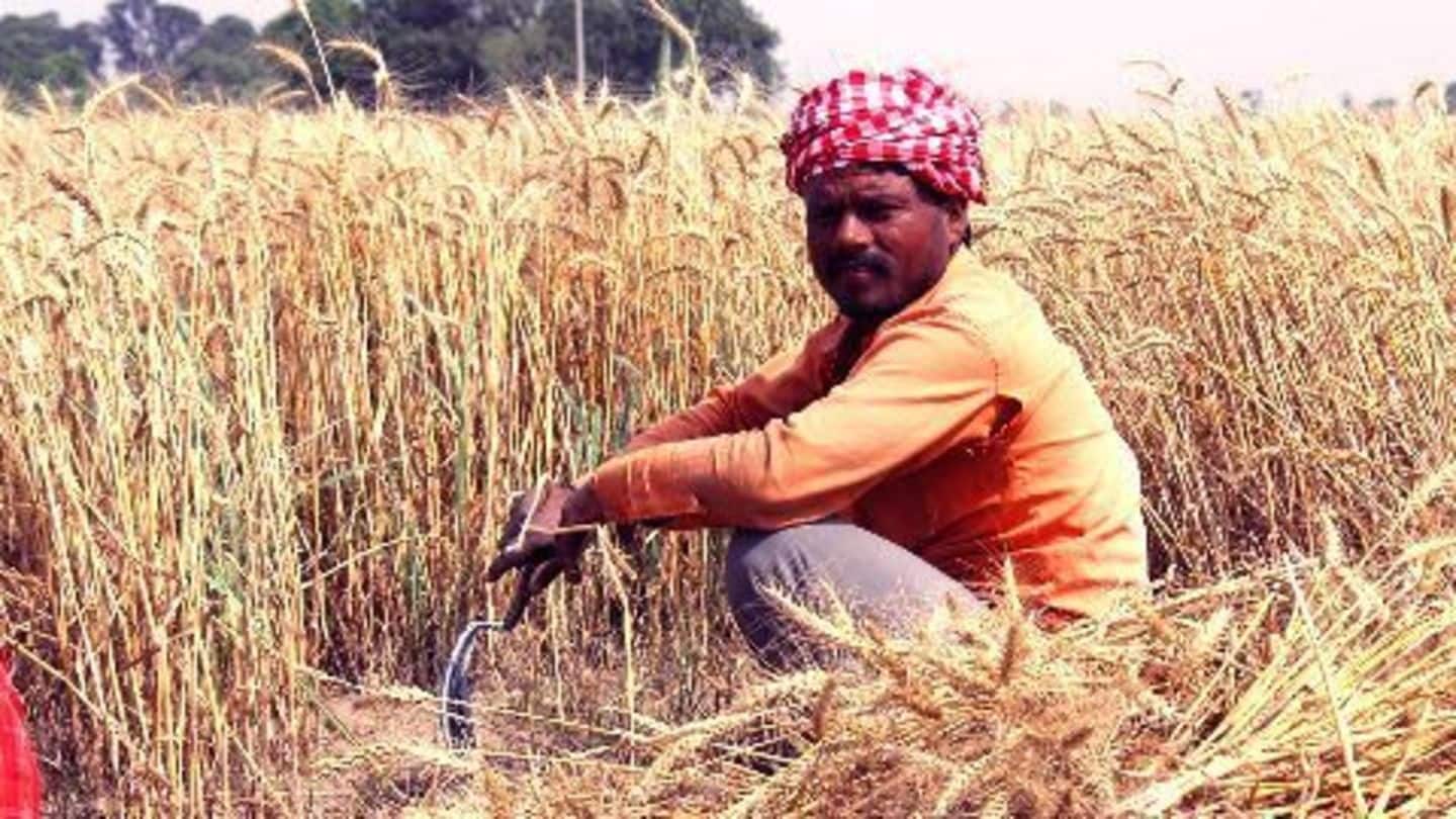 Haryana to adopt climate resilient farming practices