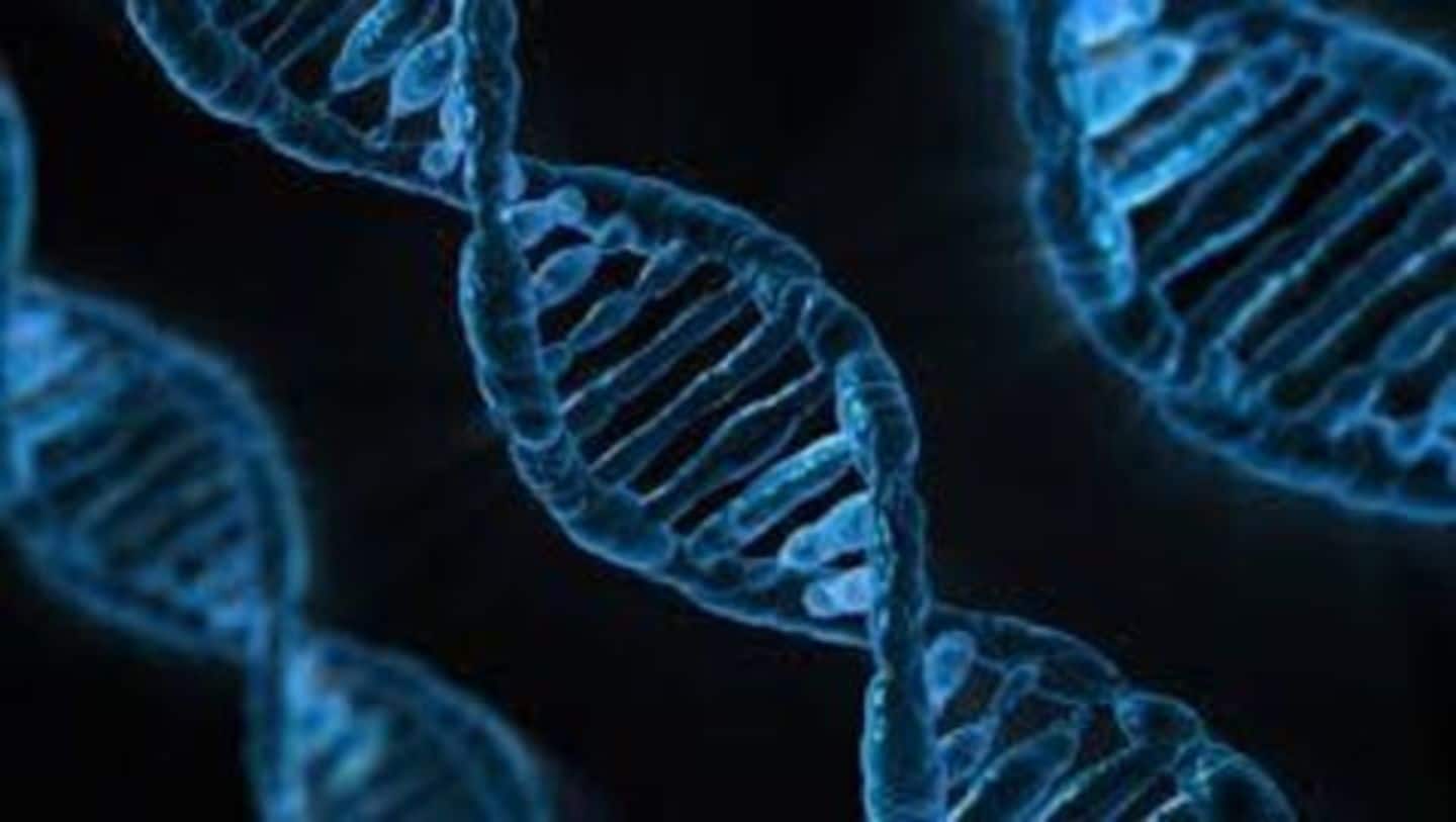 Researchers look to enable information storage in DNA