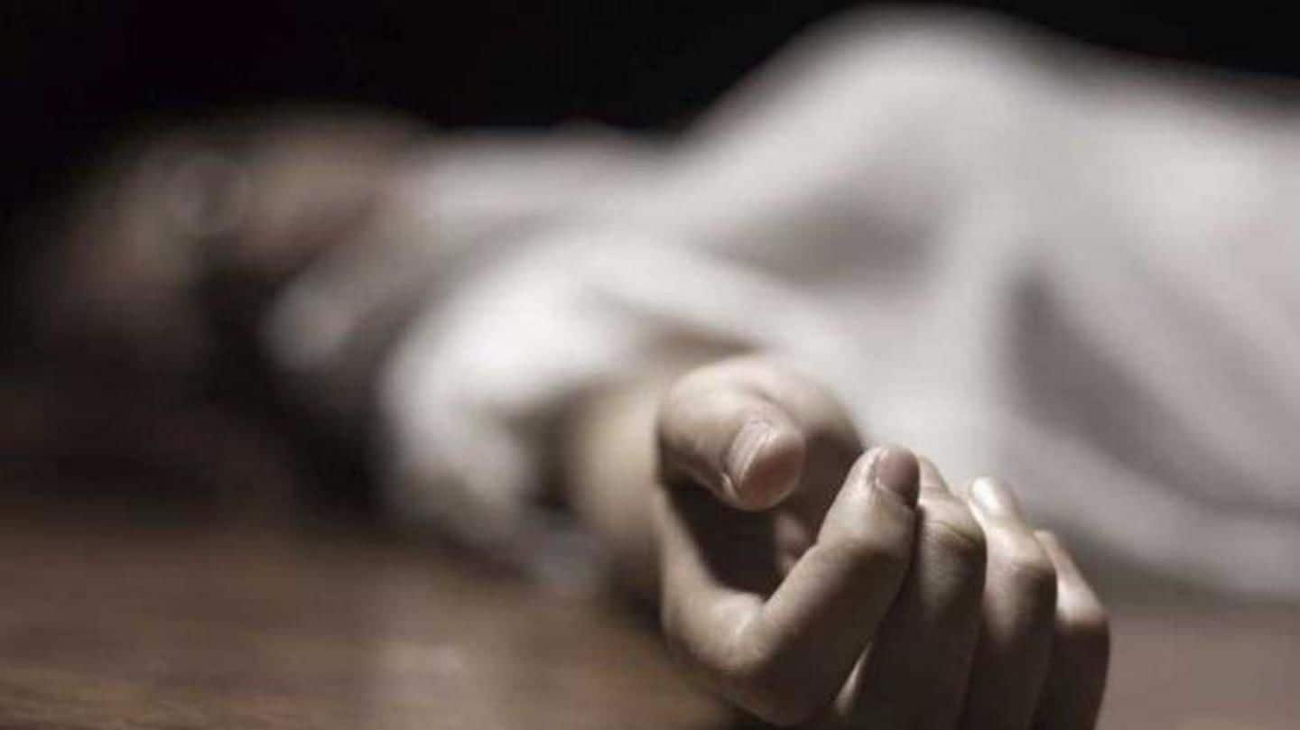 Himachal Pradesh: Woman batters father-in-law to death
