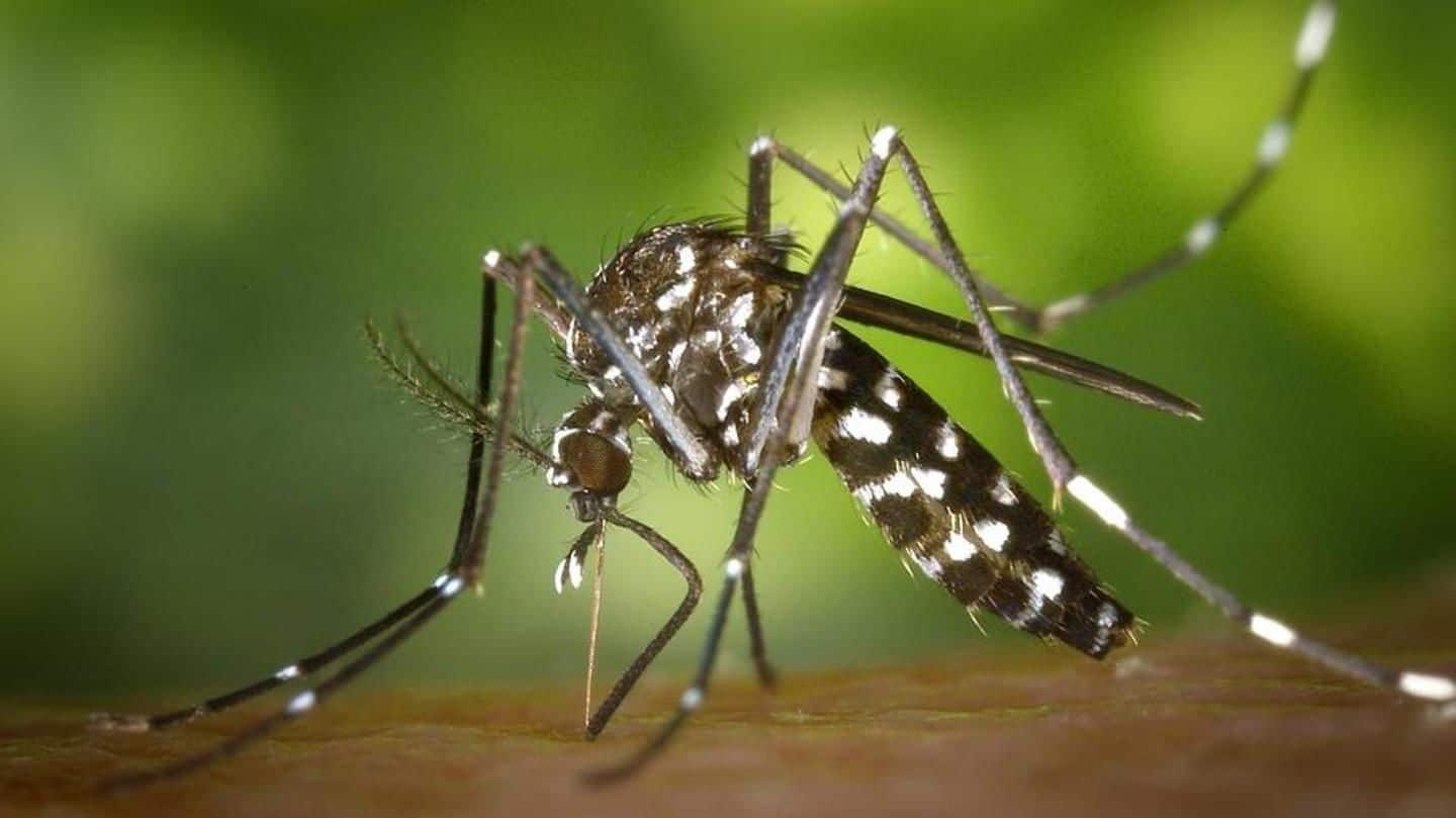 131 malaria cases reported in Delhi this season