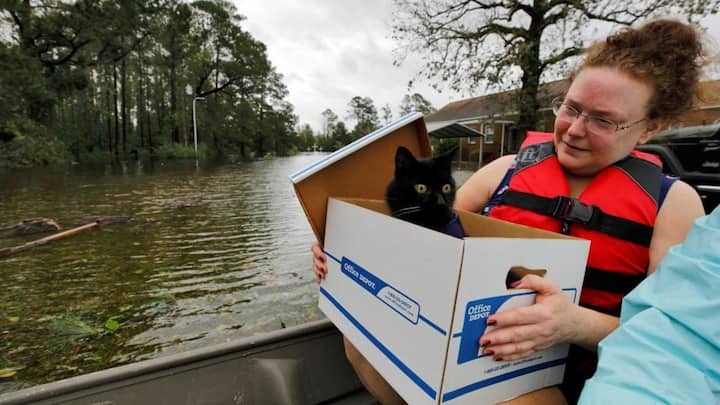Flooding fears surge as Carolina rivers rise; Wilmington cut off