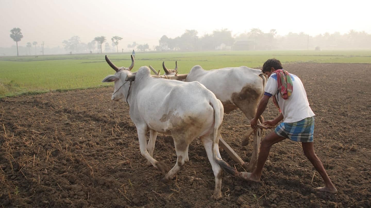 Maharashtra to release Rs. 1,100cr to farmers for damaged crops