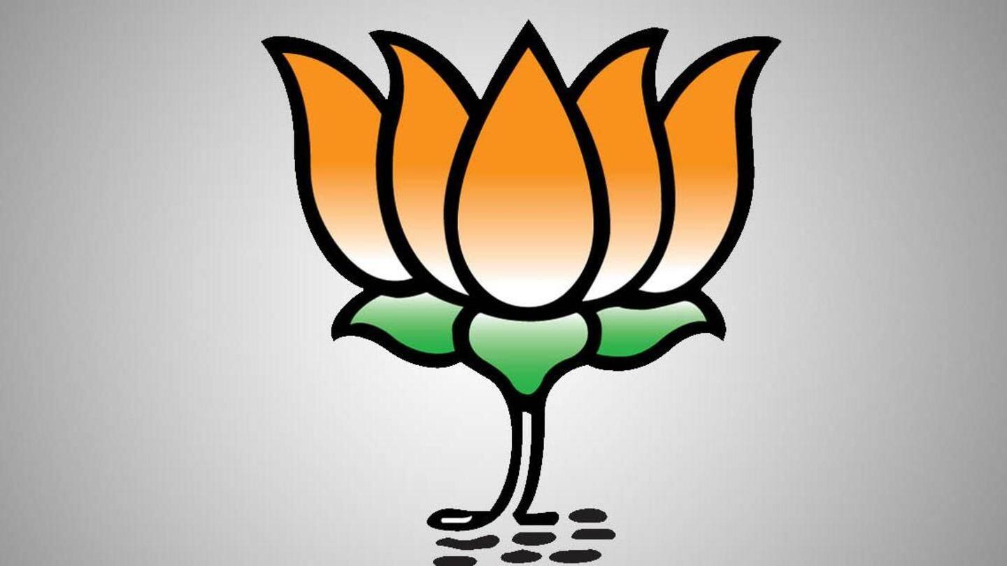 BJP to reach out to voters; apprise them of Modi-achievements