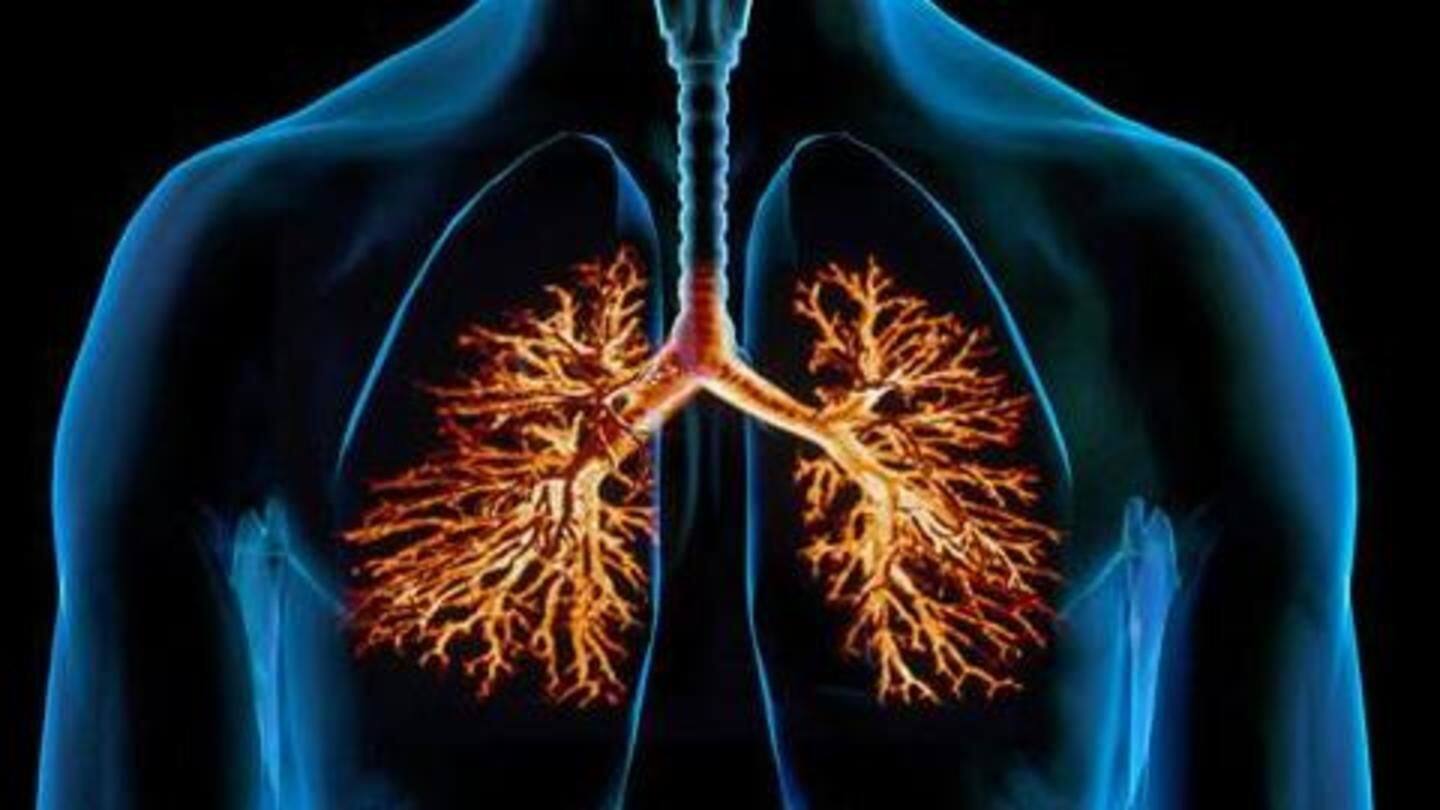 Everything You Need To Know About Respiratory Diseases