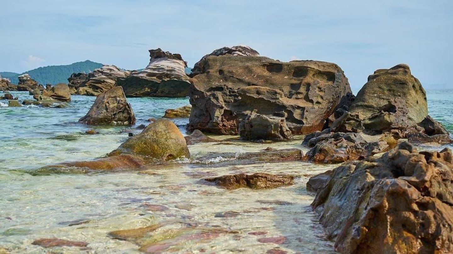 'Ecological system seriously destroyed, impossible to recover in allotted time' 'Ecological system seriously destroyed, impossible to recover in allotted time'