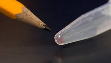 Government to set up DNA databanks at national, state level