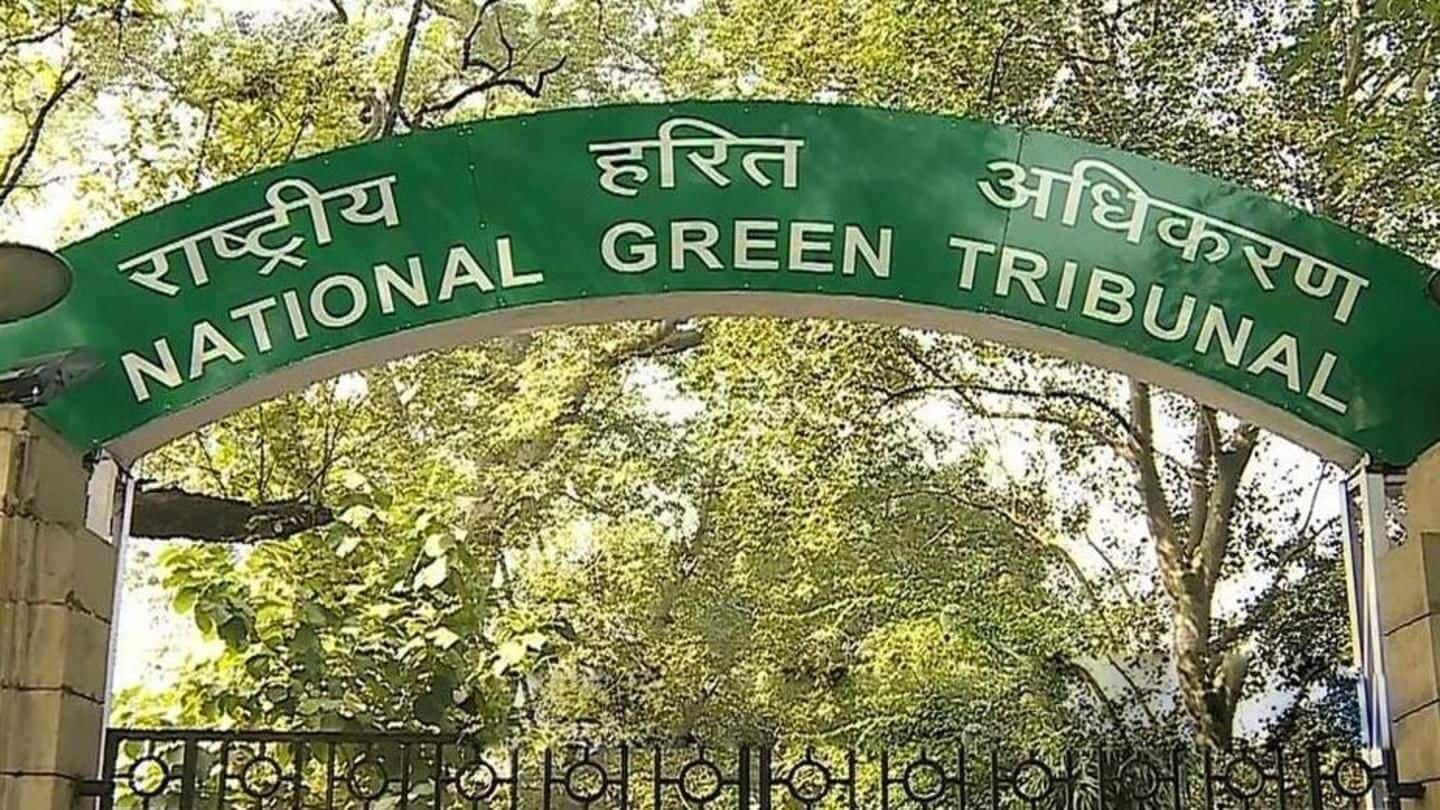 Hit by vacancies, NGT plans to hear cases using video-conferencing