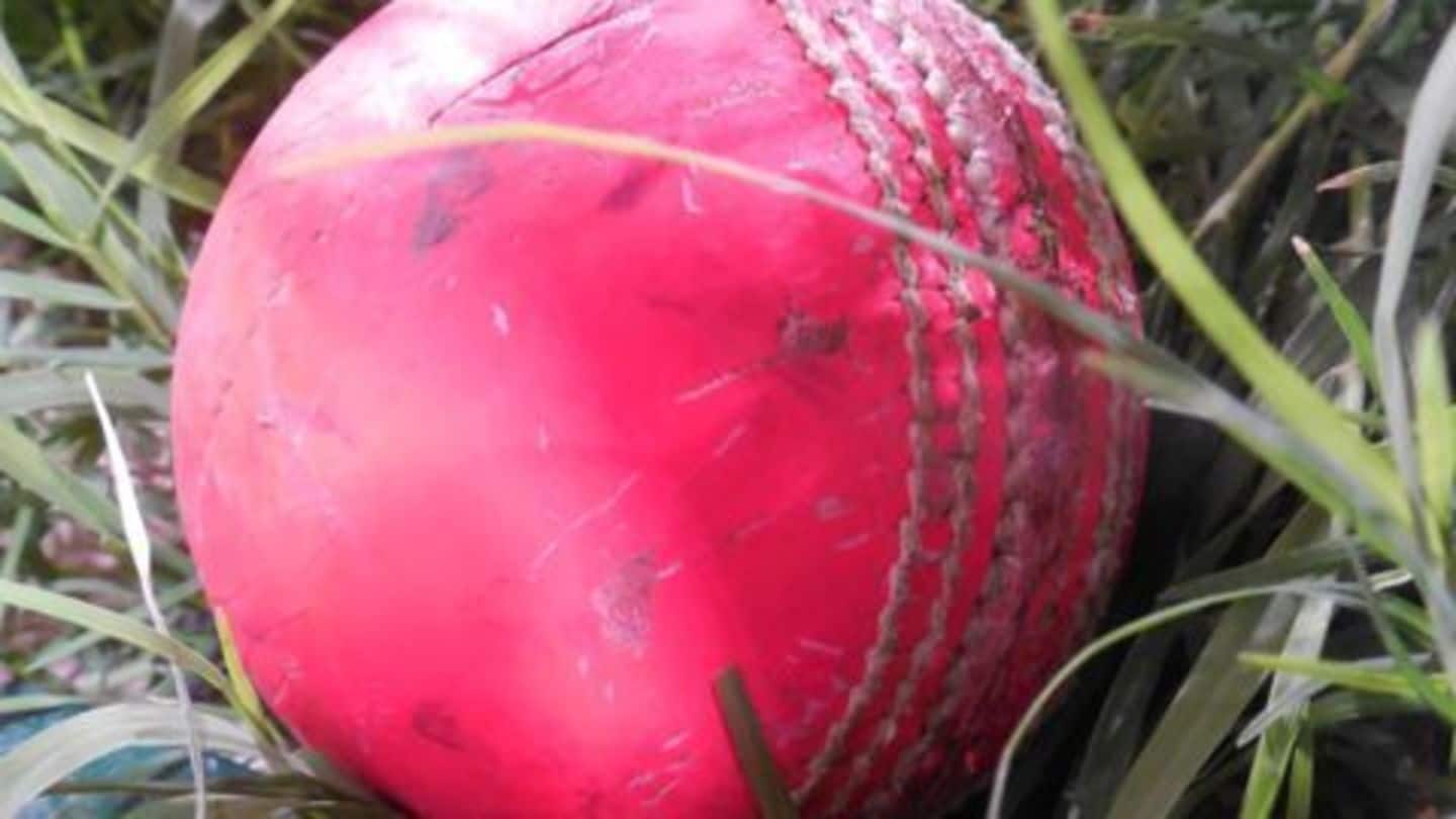 Pink ball to be used in Duleep Trophy