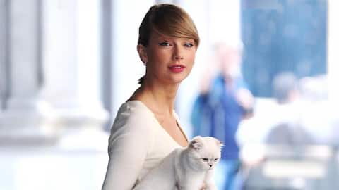 Taylor Swift's cat is worth more than Travis Kelce