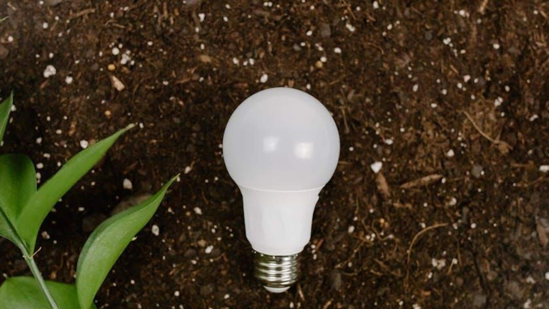 How to save money with LED bulbs