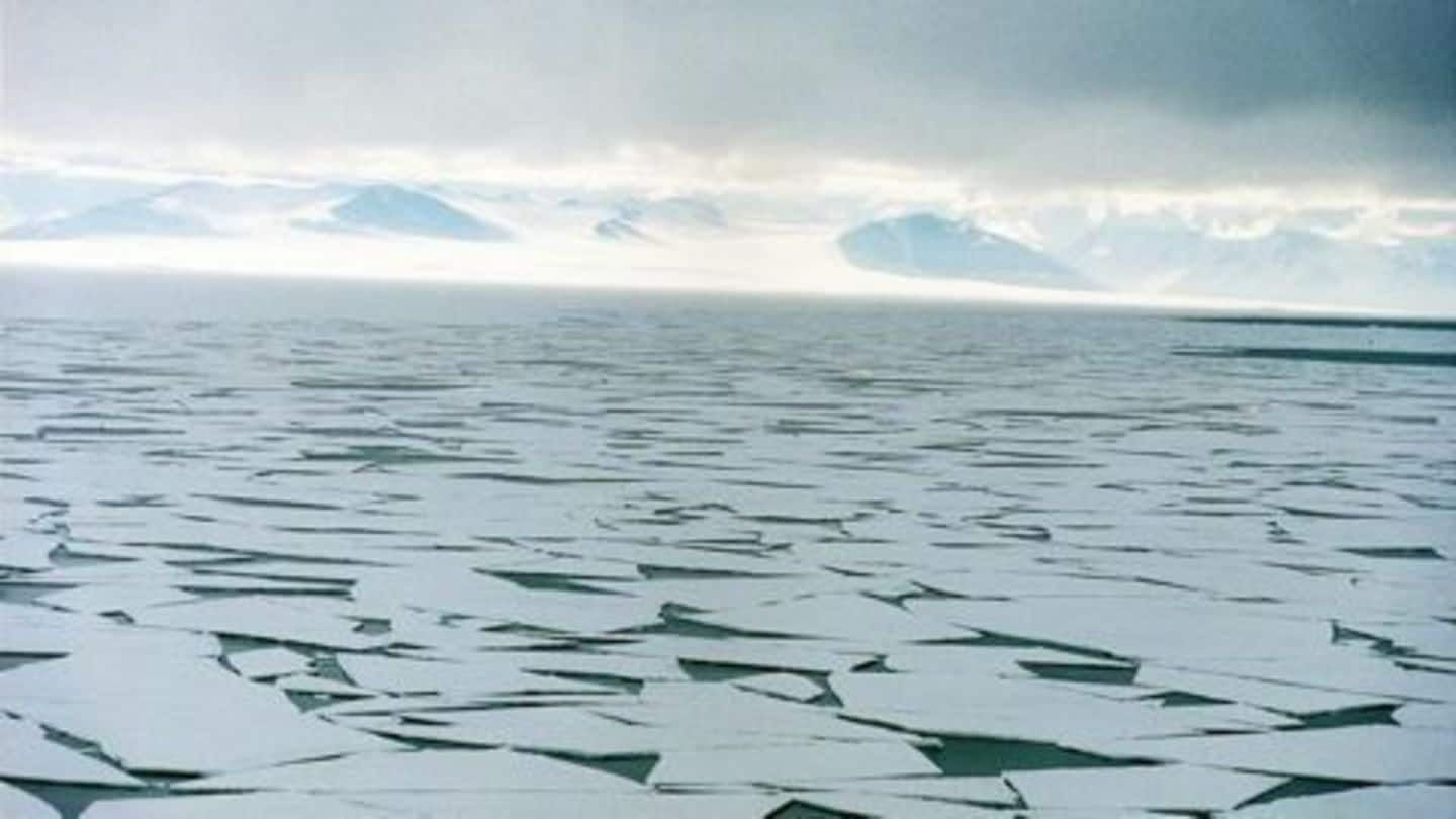 World's largest marine protected area declared in Antarctic Ocean