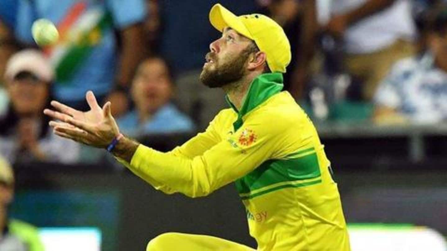 Glenn Maxwell seeks 'catching tips' from woman cricketer Haidee Birkett