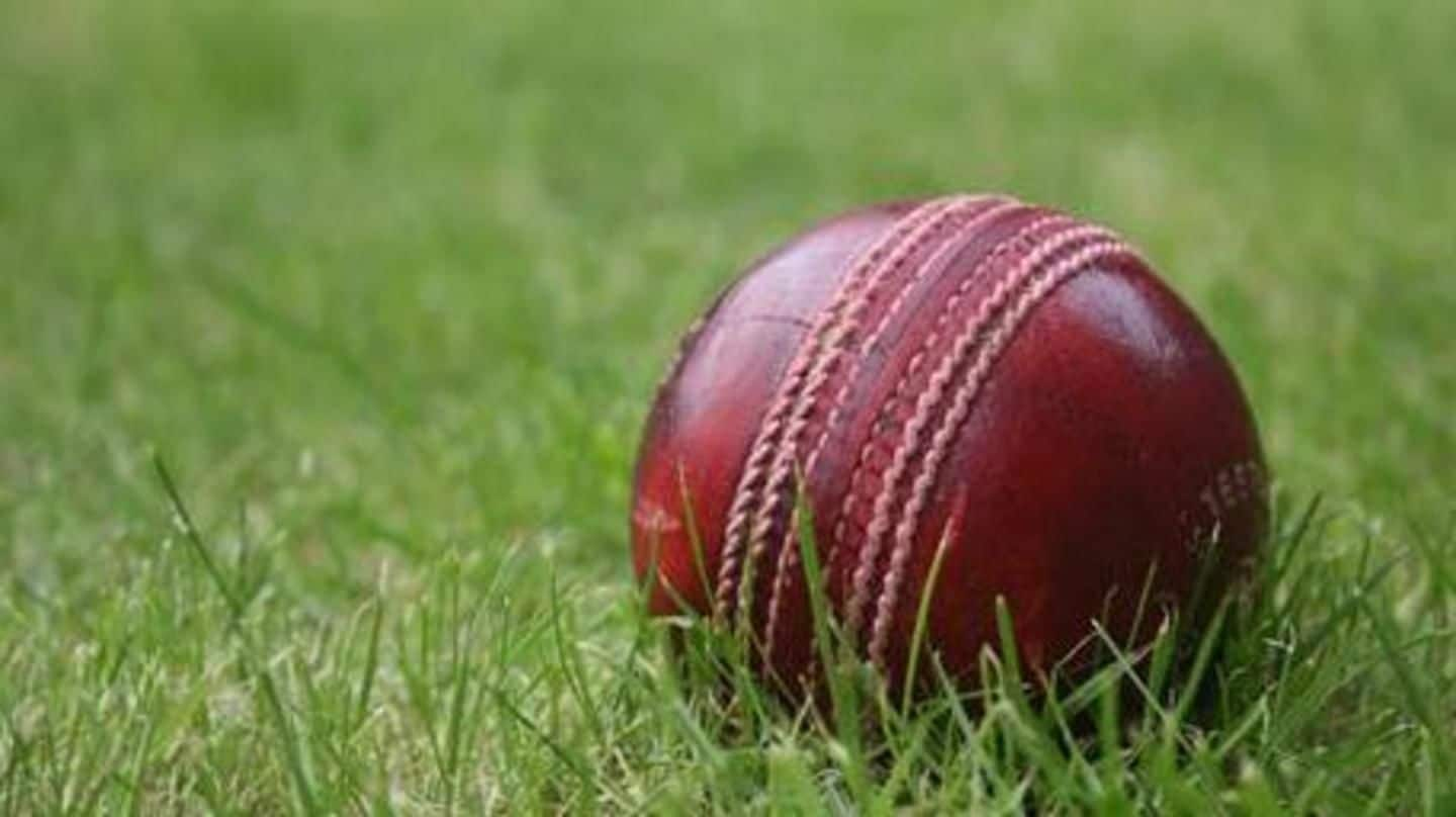 why-are-different-types-of-balls-used-in-cricket