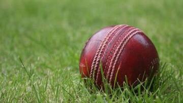 Why are different types of balls used in cricket?