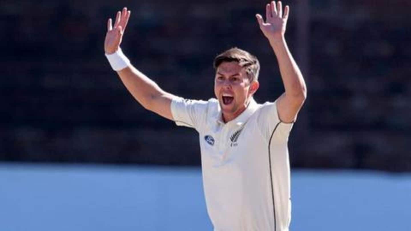 Some interesting facts about the Kiwi sensation Some interesting facts about the Kiwi sensation