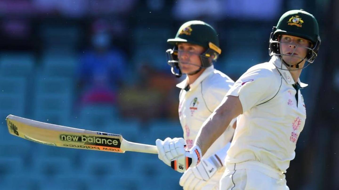 Smith surpasses Kallis with this record, shines at the SCG Smith surpasses Kallis with this record, shines at the SCG
