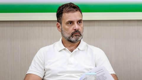 Rahul Gandhi lists 6 priorities 'ignored' in Union Budget 2026